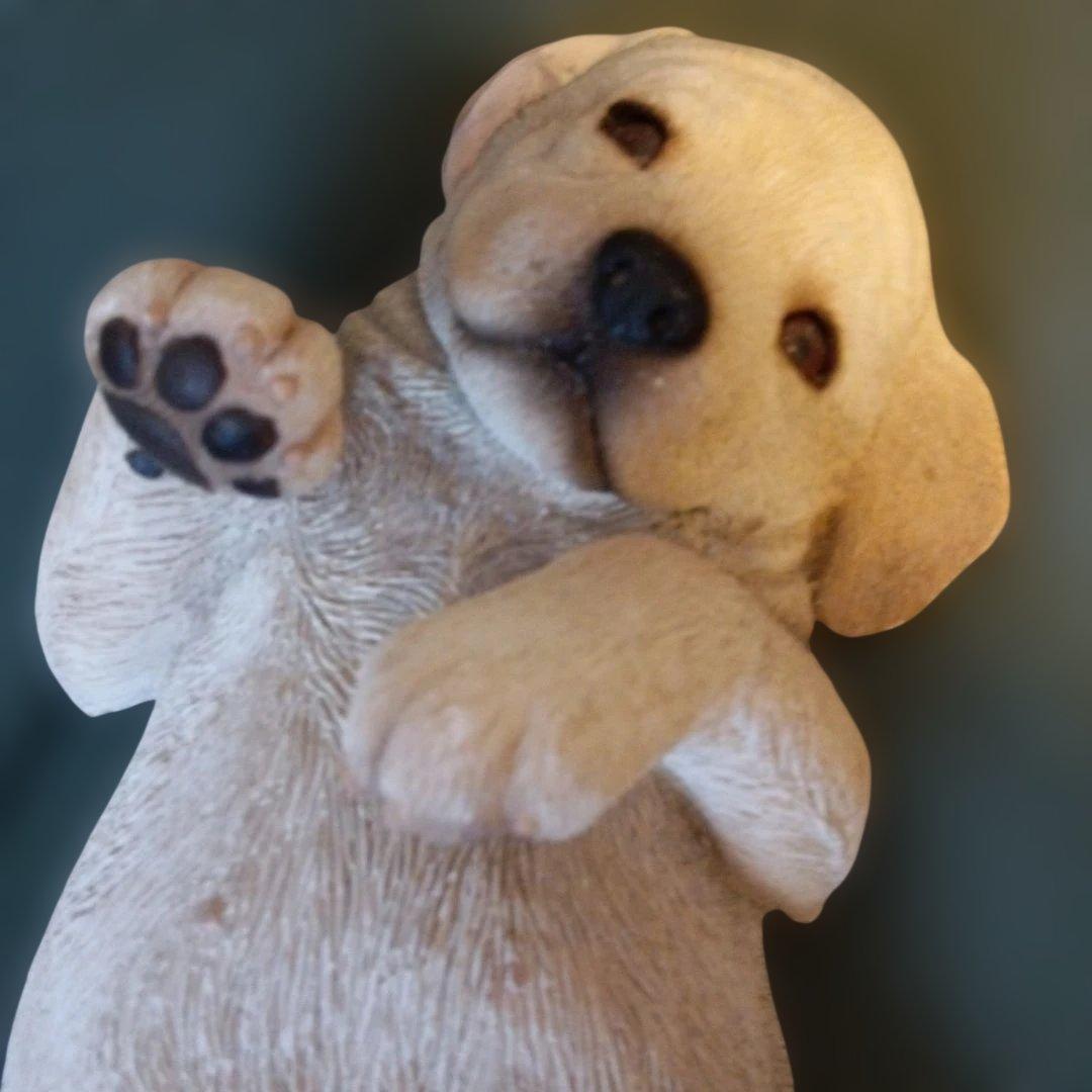 リアル犬