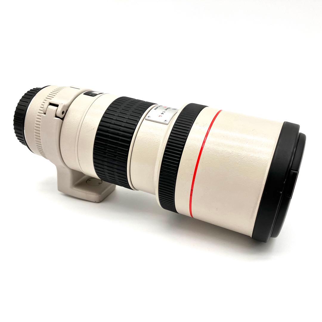 Canon EF 300mm F4単焦点レンズ