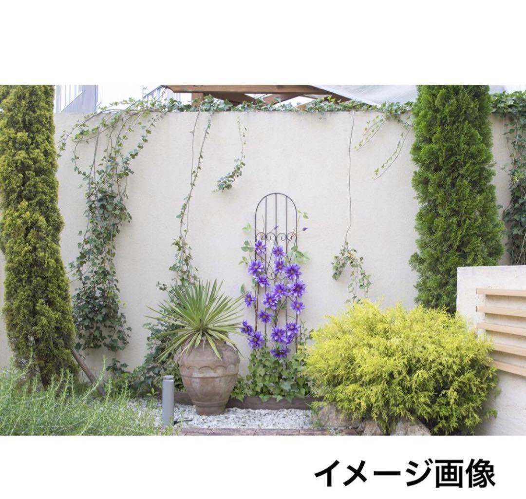 cheerup♪ トレリス 高さ180・150cmまとめ販売ページ