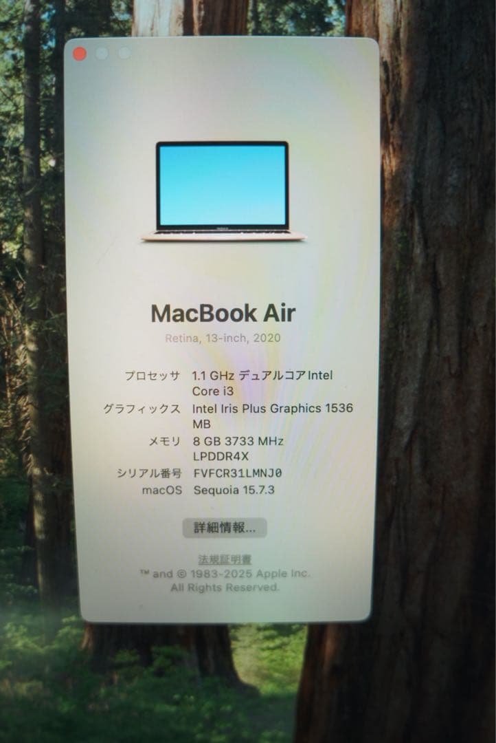 MacBook Air 2020 1T ローズゴールド 本体 美品