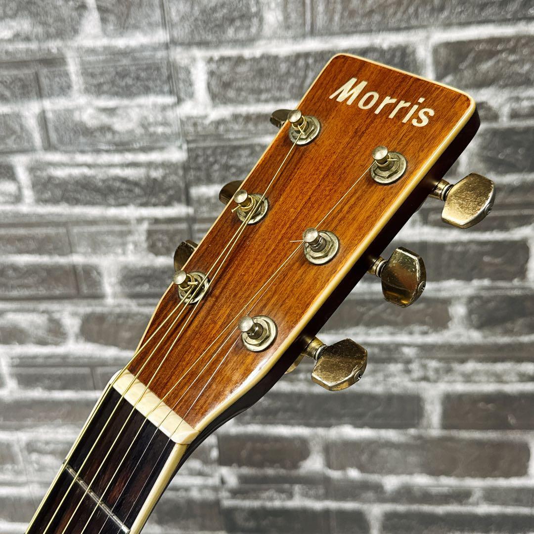 MORRIS MD-515 スプルーストップ/アンデスローズ 1980年代