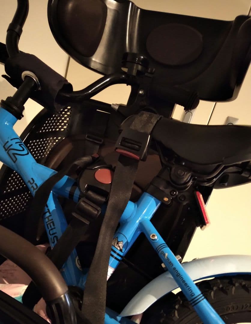 破格 キッズ自転車 12インチ 自転車屋 メンテナンス済み ストライダー