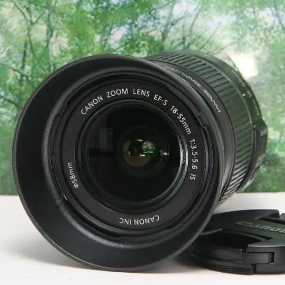 ❤動画も自撮り出来るCanon EOS 60D☆スマホ転送OK♪付属品多数❤