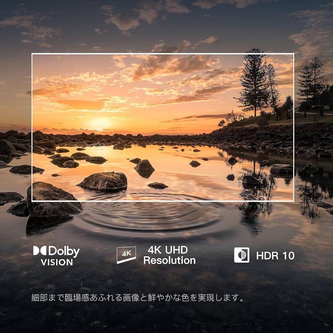 FPDチューナーレステレビ43V型 4K Google TV
