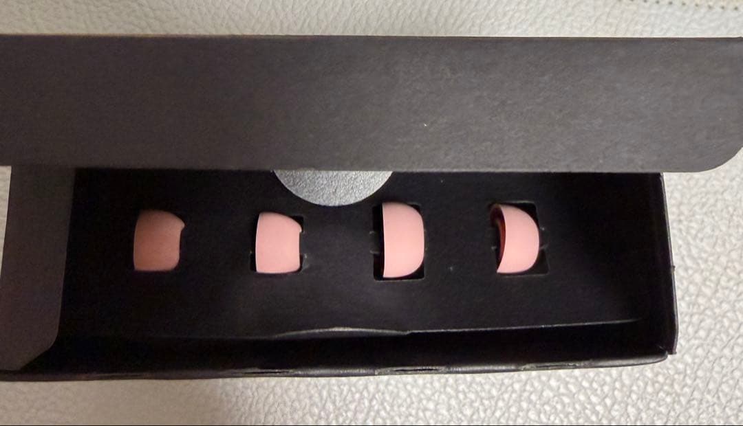 JBL TOUR PRO 2 新品のケース付き