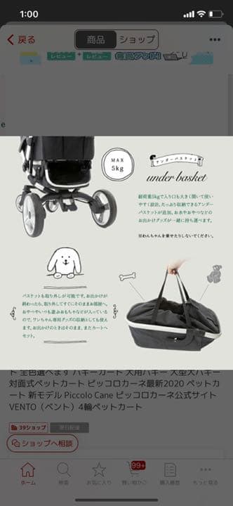 ピッコロカーネベント