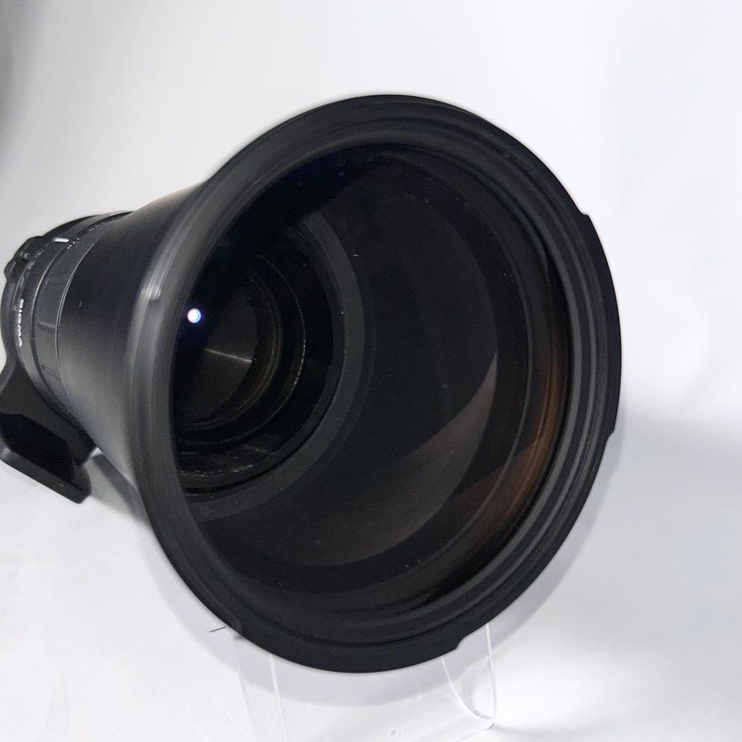 超望遠の世界へ！SIGMA APO 170-500mm F5-6.3 SONY用