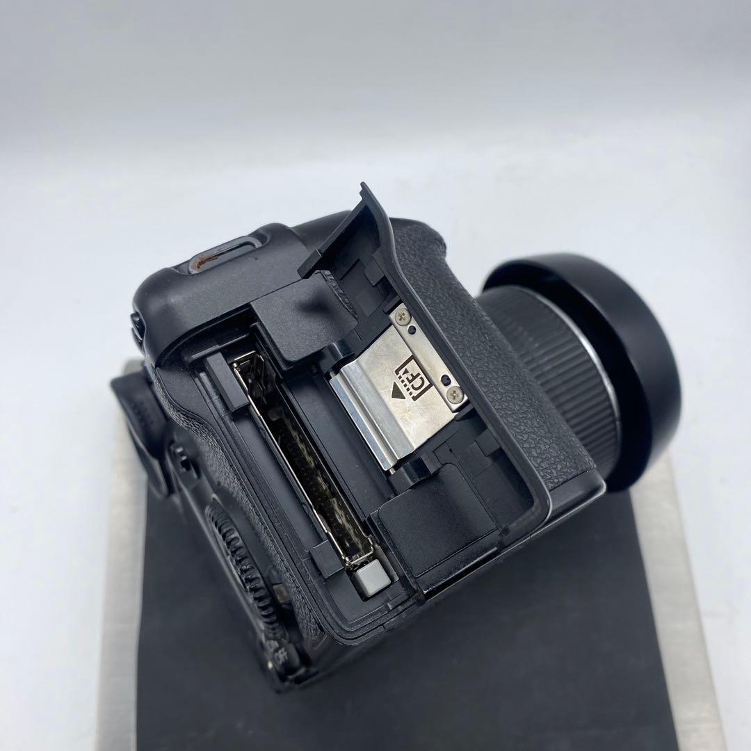 Canon EOS 30D レンズセット