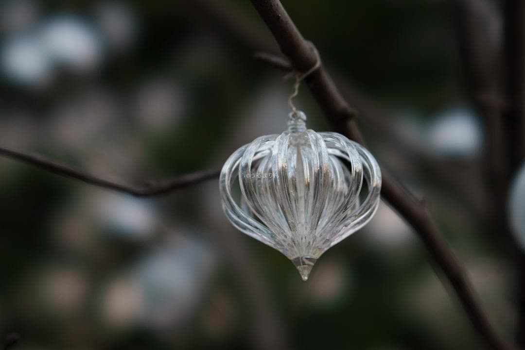 taishi様魔法のボケレンズ！SONY FE100mm F2.8 STF GM