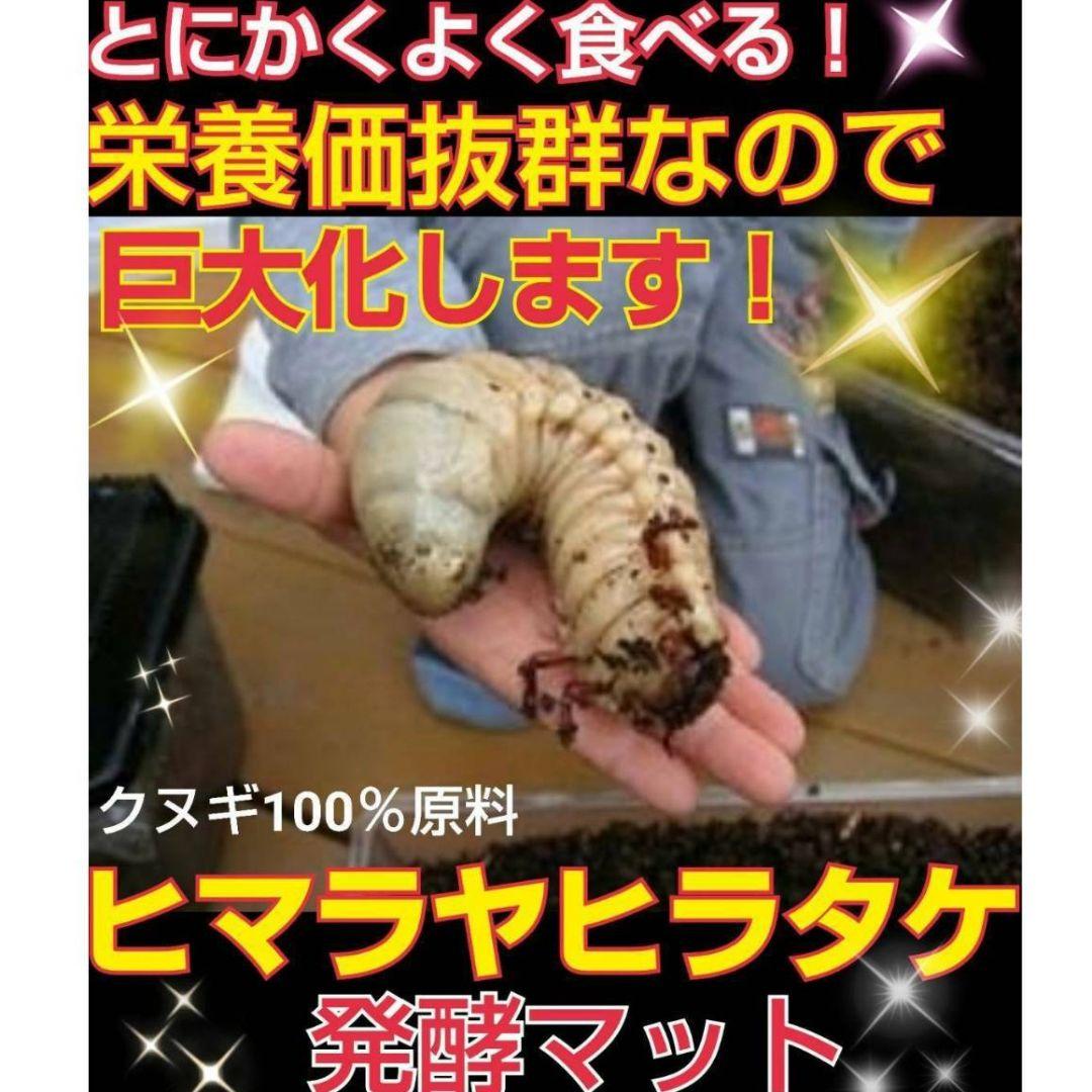 大量飼育に！【300リットル】良質☆発酵カブトムシマット☆幼虫が丸々太ります！