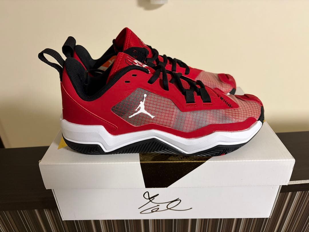 【未使用】AIR JORDAN RETRO MAX LOW G 25.5cm