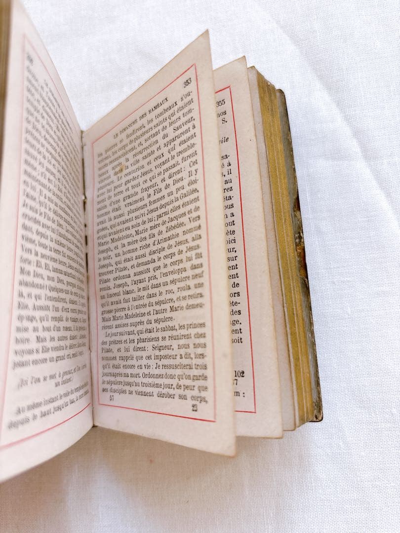 フランスアンティーク　1888年聖書・セルロイド