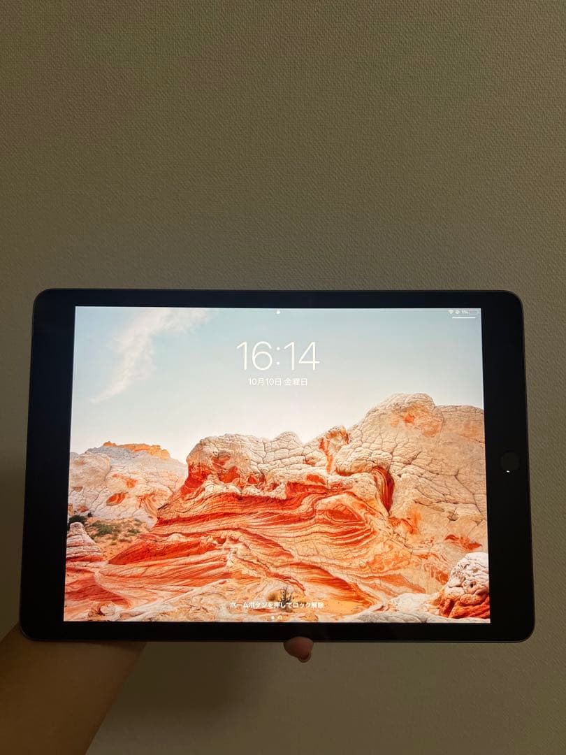 Apple iPad スペースグレー 第7世代本体