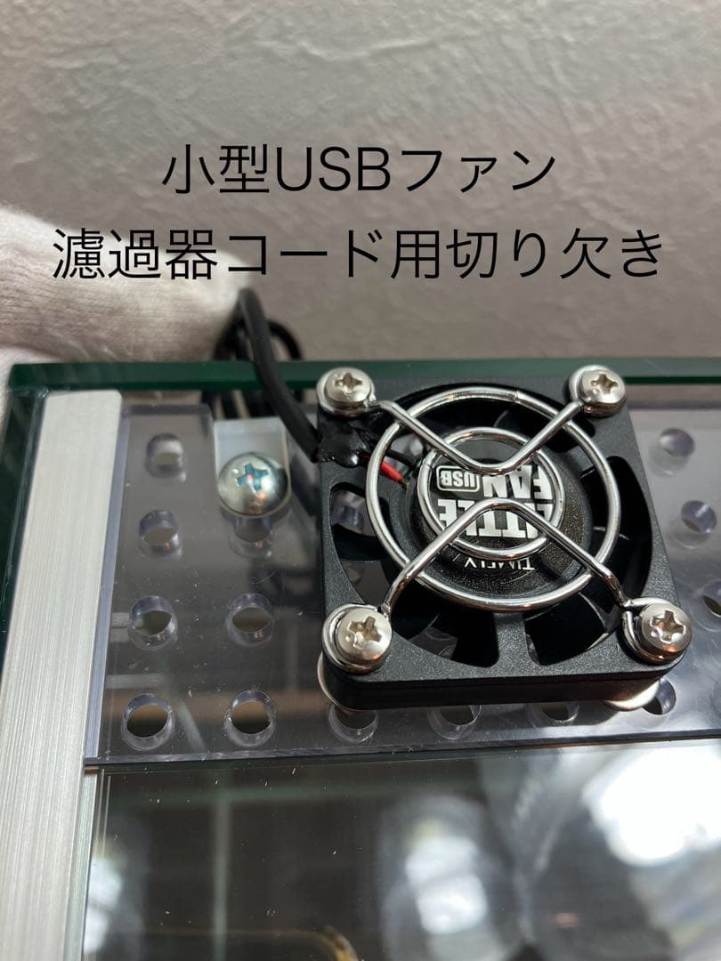 アクアサイダーのイモリウム水槽 サイズ40cm