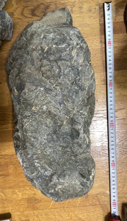 八海石　ADA アクアリウム　特大　水石　石組　盆石