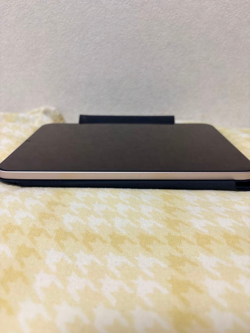 iPad mini 6 / 64GB / ピンク / ESRケース付き