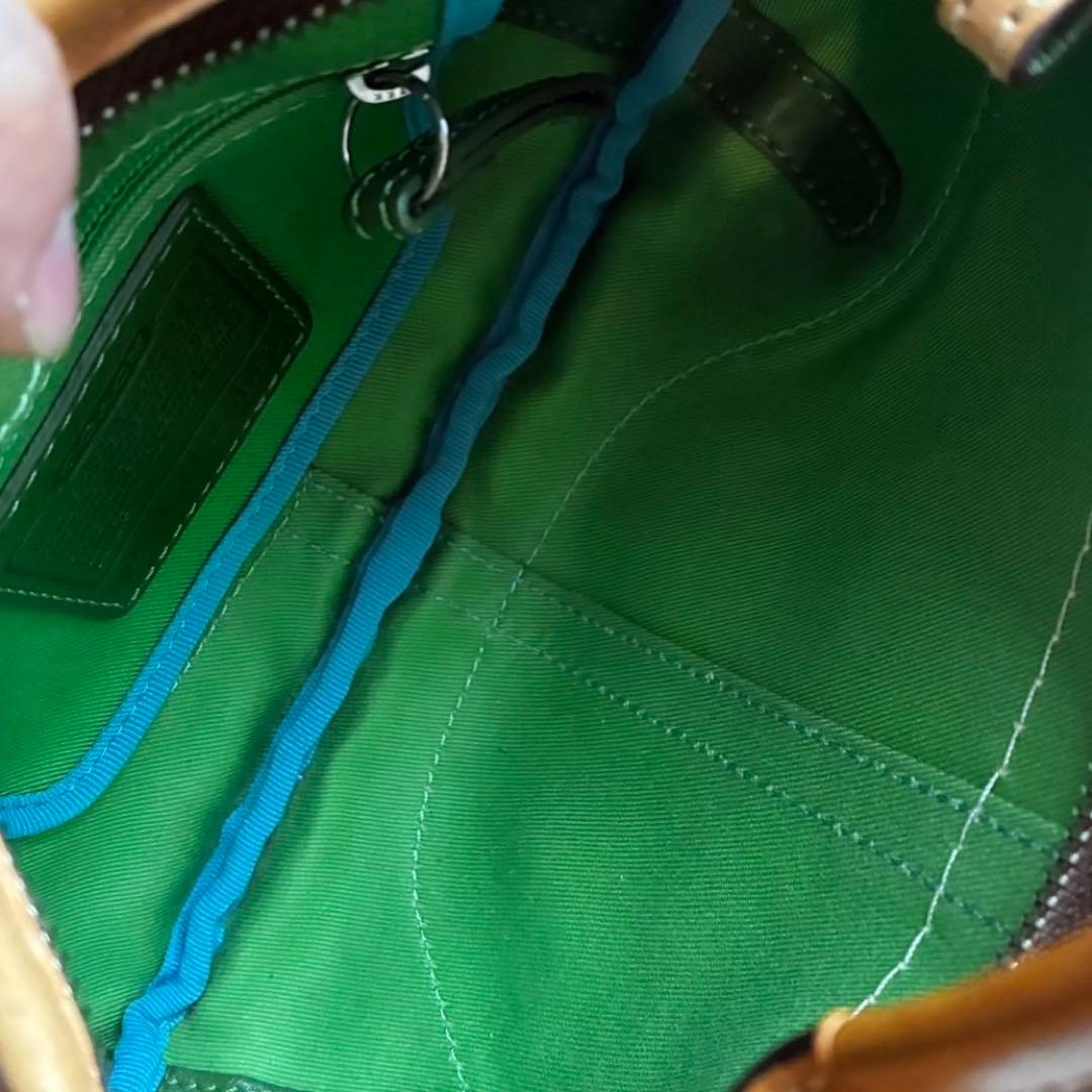 バッグ COACH Y2K multicolor flower shoulder bag