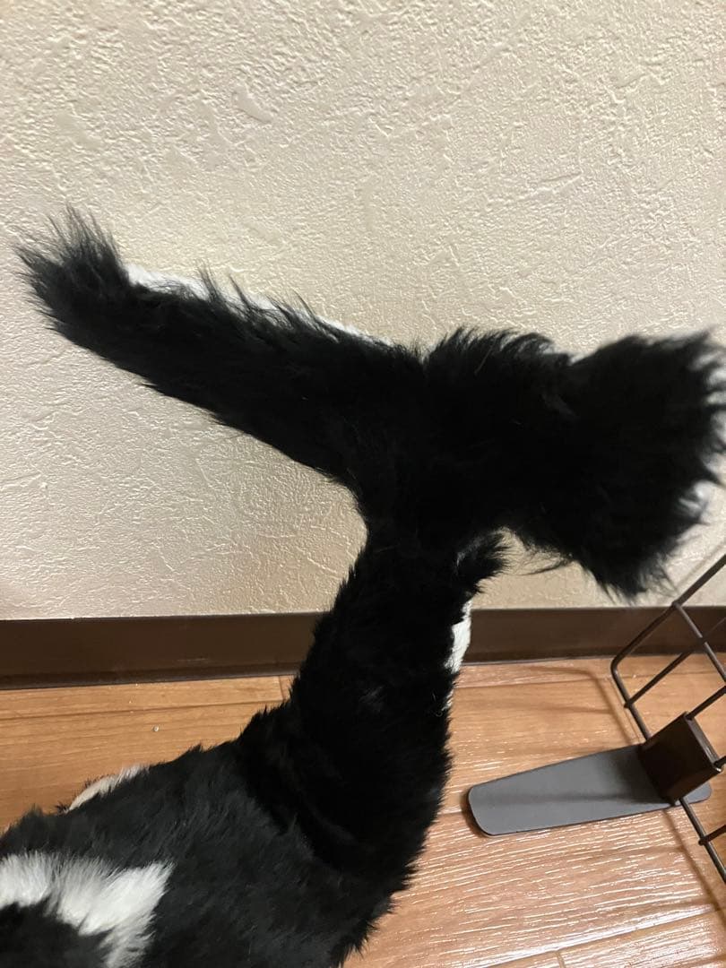 国内作家様　アートドール　シャチっ子　シャチ