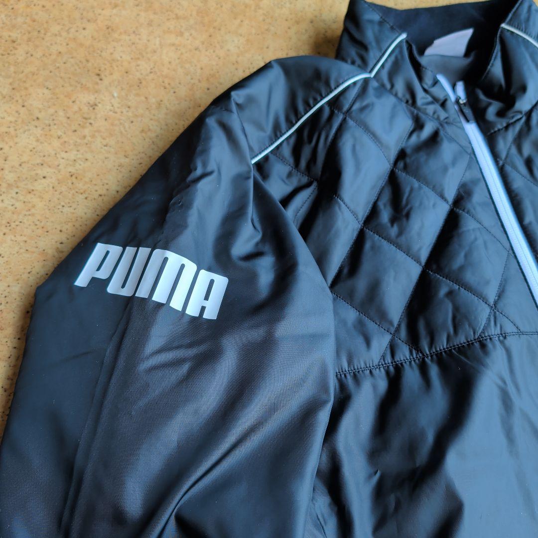 PUMA ゴルフ 上下セット