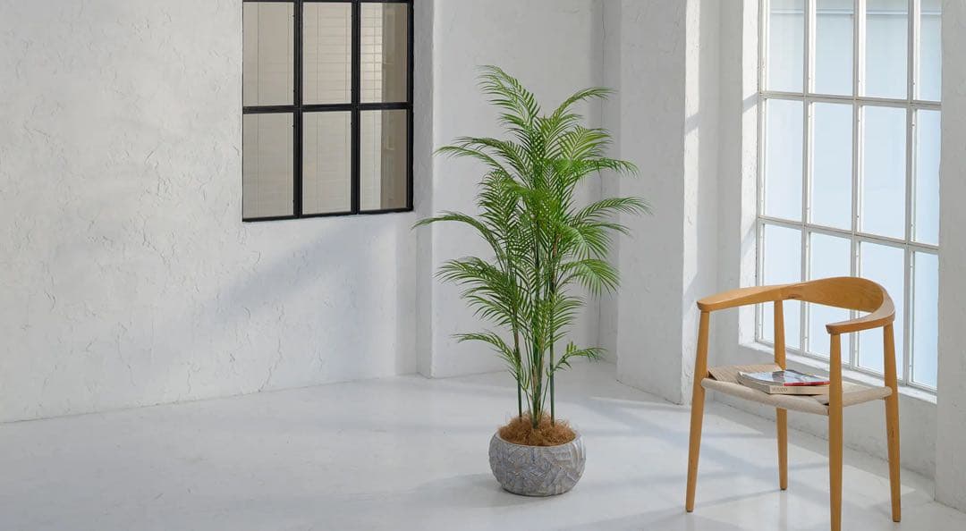 エミリオロバ　パーム　人工観葉植物