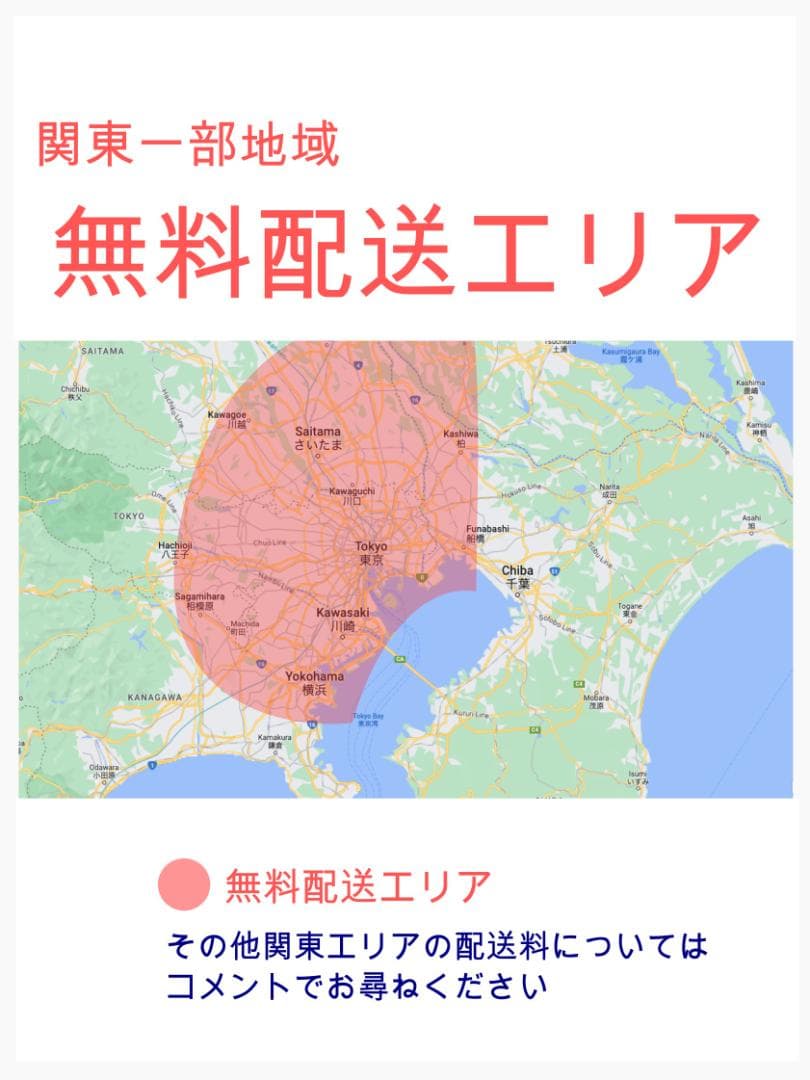 破格 超大容量 ビッケ ブリヂストン　子供乗せ電動アシスト自転車 ZH2823