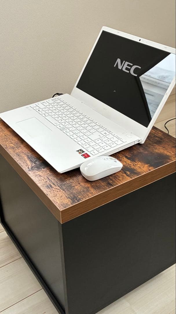 【極美品】NECノートパソコン Ryzen搭載！カバン＆マウス付きフルセット
