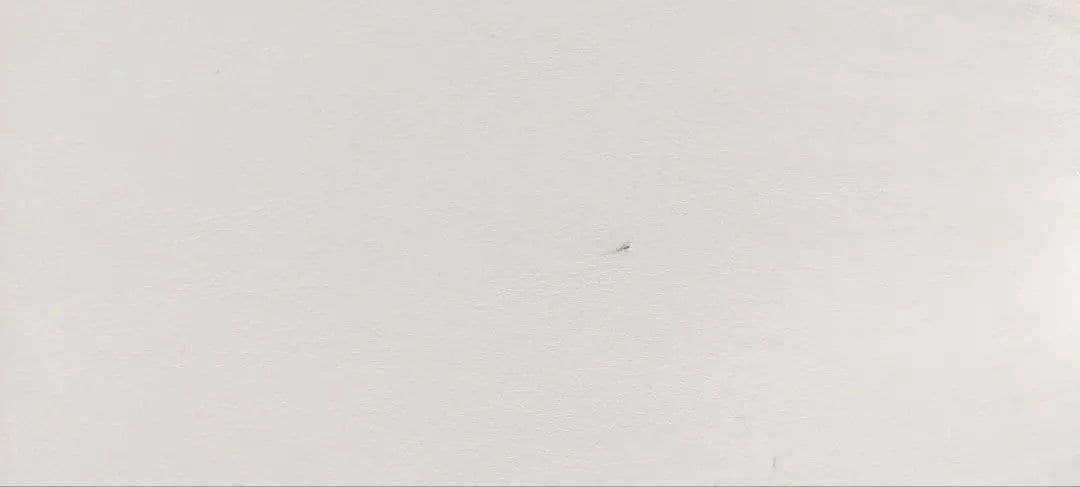 マッサージ、リラクゼーション整体用ベッド　アースライト