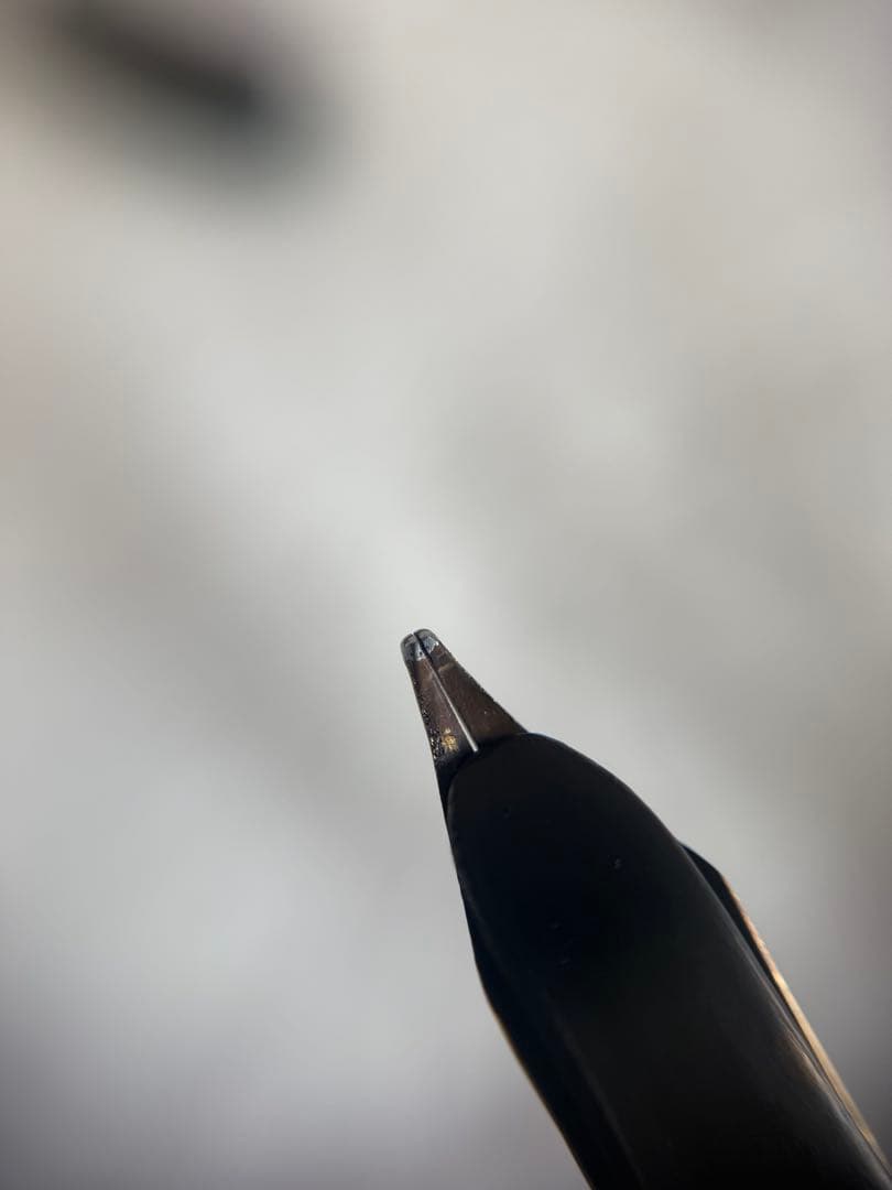 ウォーターマンWATERMAN万年筆セフティペン