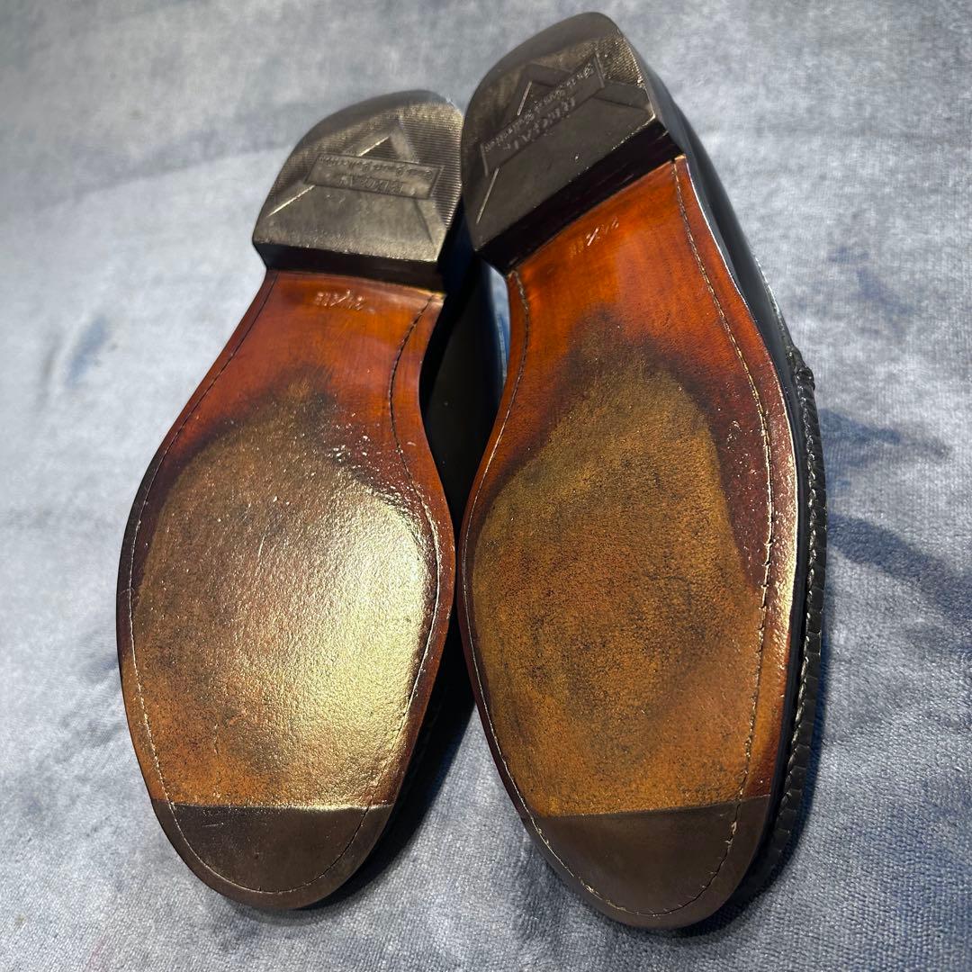 REGAL East Coast Collectionのコブラヴァンプ