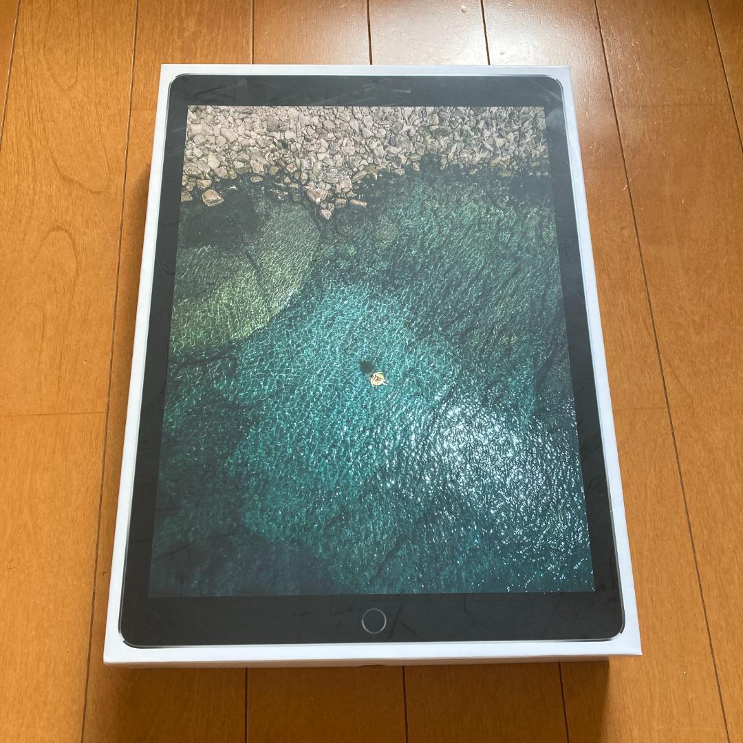 iPad本体 iPad Pro 256GB Wi-Fi + Apple Pencil