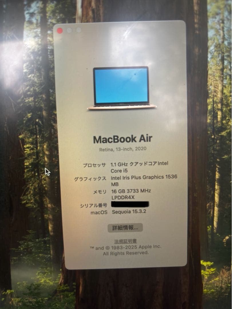 【美品】Apple MacBook Air ゴールド メモリ16GB、256GB