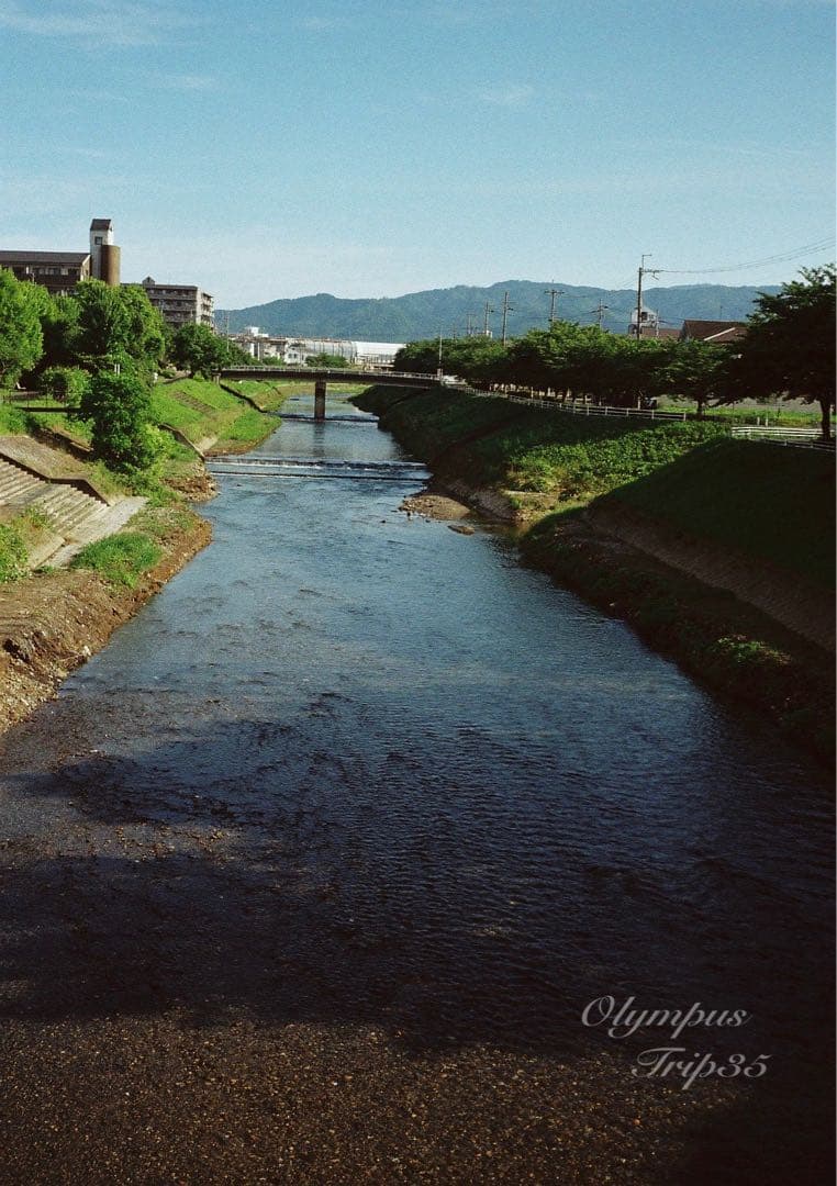 オリンパス trip35 ブラック★作例多数★完動品・美品・整備品