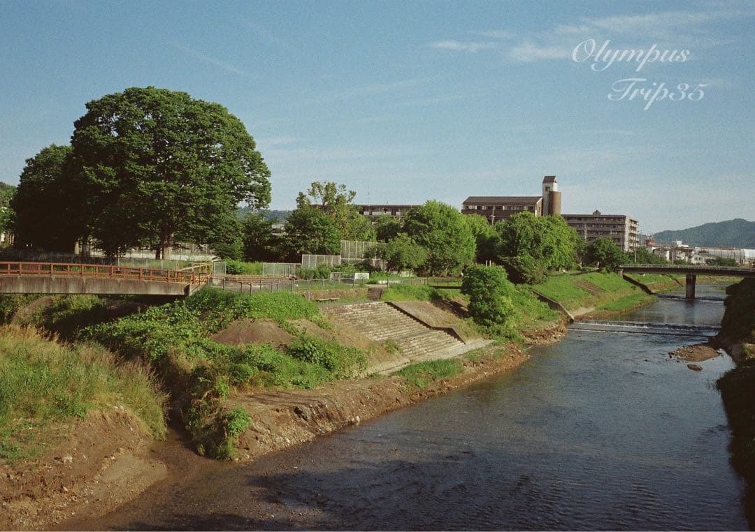 オリンパス trip35 ブラック★作例多数★完動品・美品・整備品