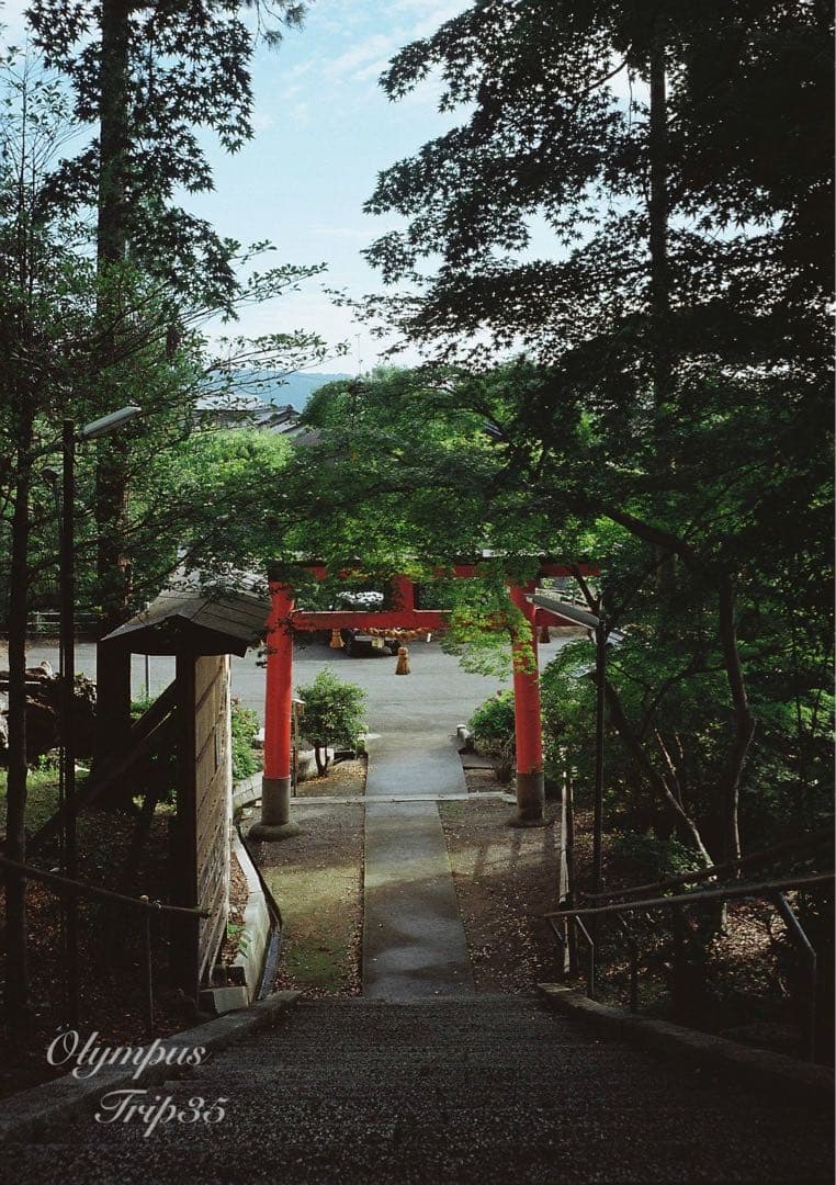 オリンパス trip35 ブラック★作例多数★完動品・美品・整備品