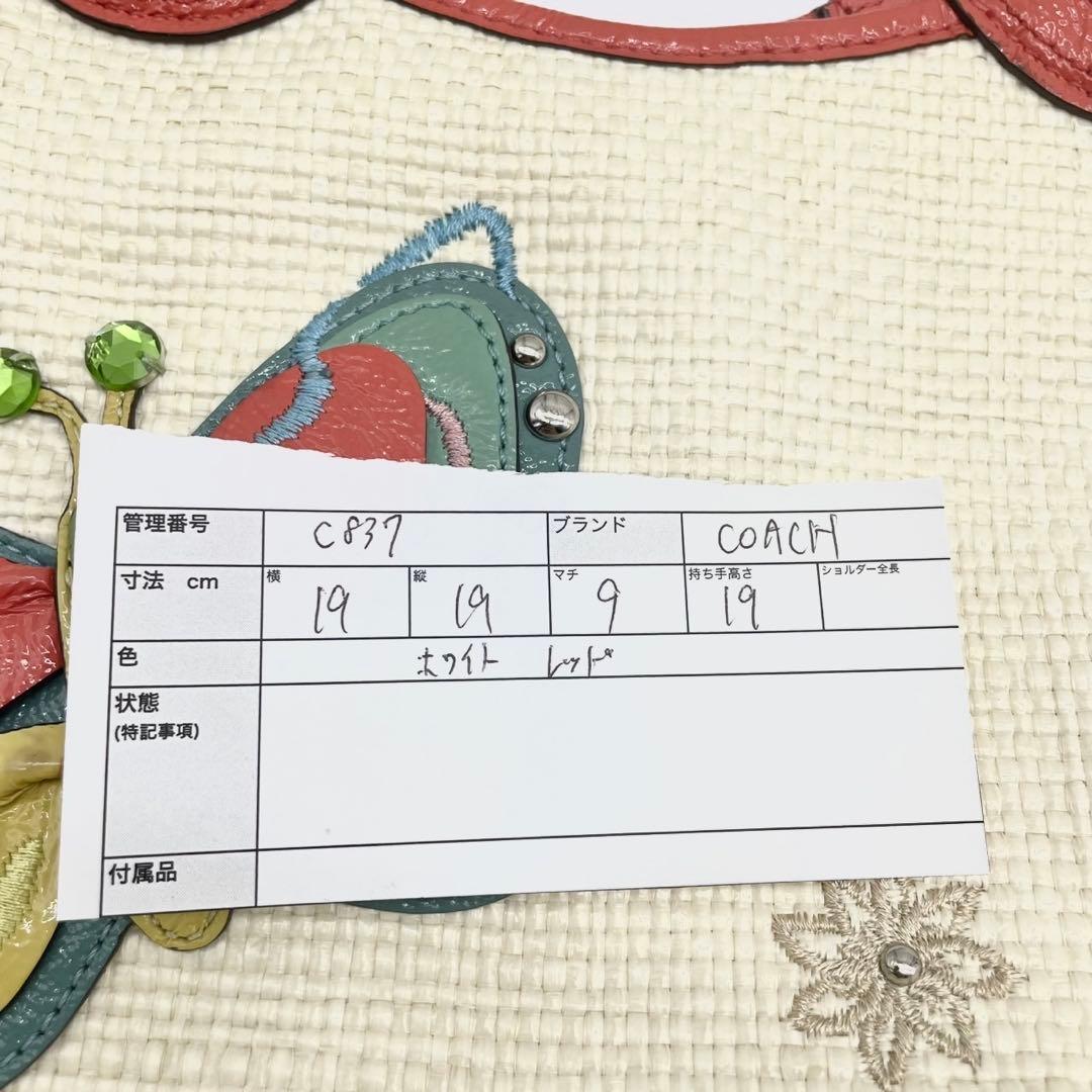 COACH コーチ バッグ レキシー バタフライ ストロー サッチェル c837