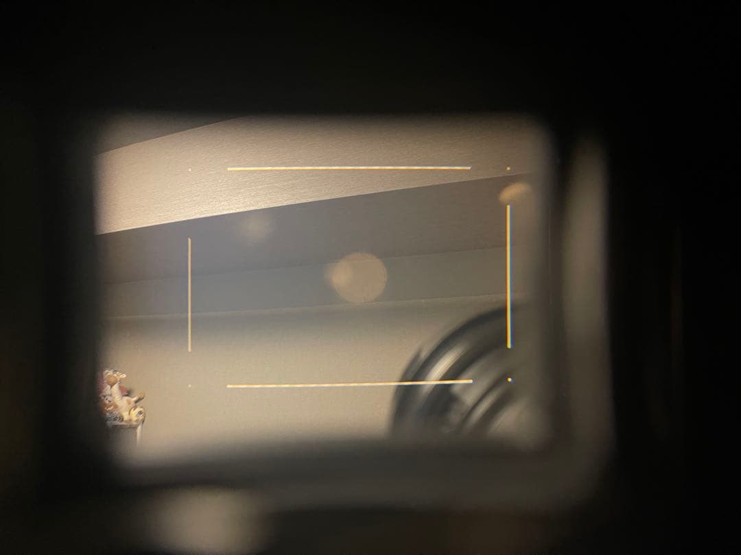 極美品フジフィルム FUJIFILM GW690III Professional