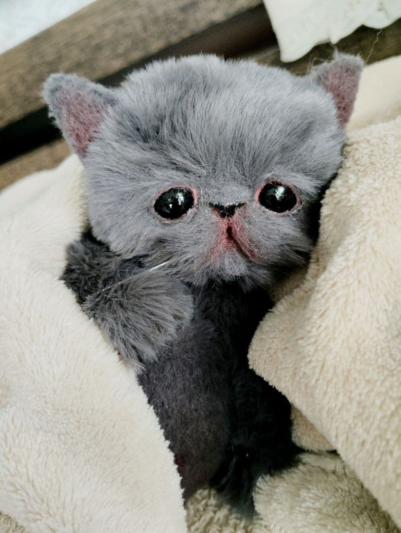 もち様オーダー❤子猫の黒豆ちゃん♡アートドール♡ぬいぐるみ♡