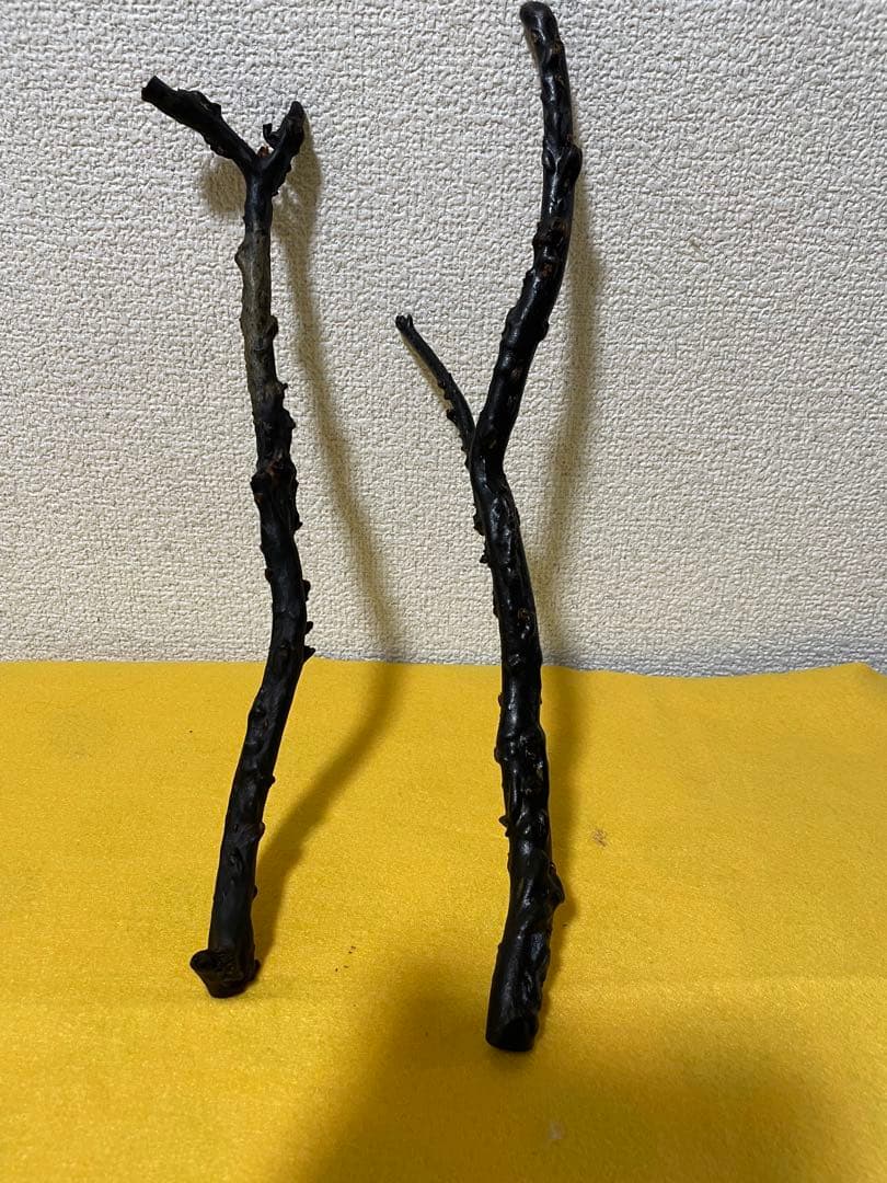 黒珊瑚　深海松　原木