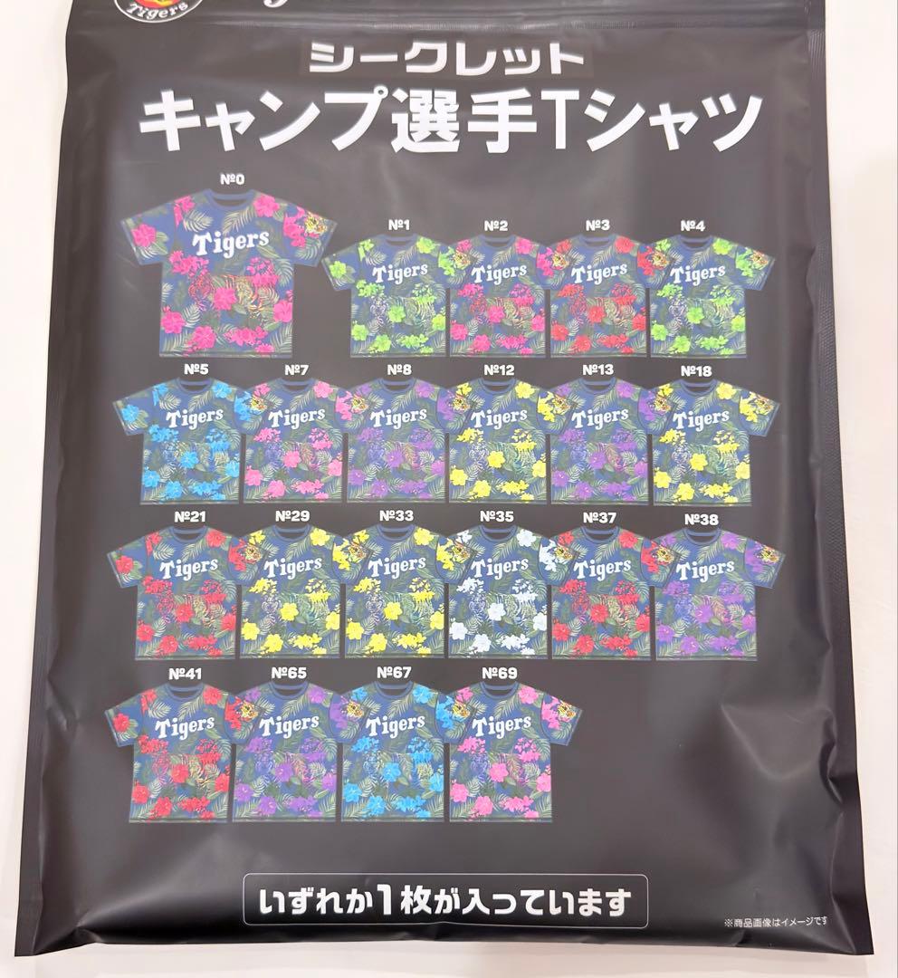 近本　阪神タイガース　春季キャンプ2026