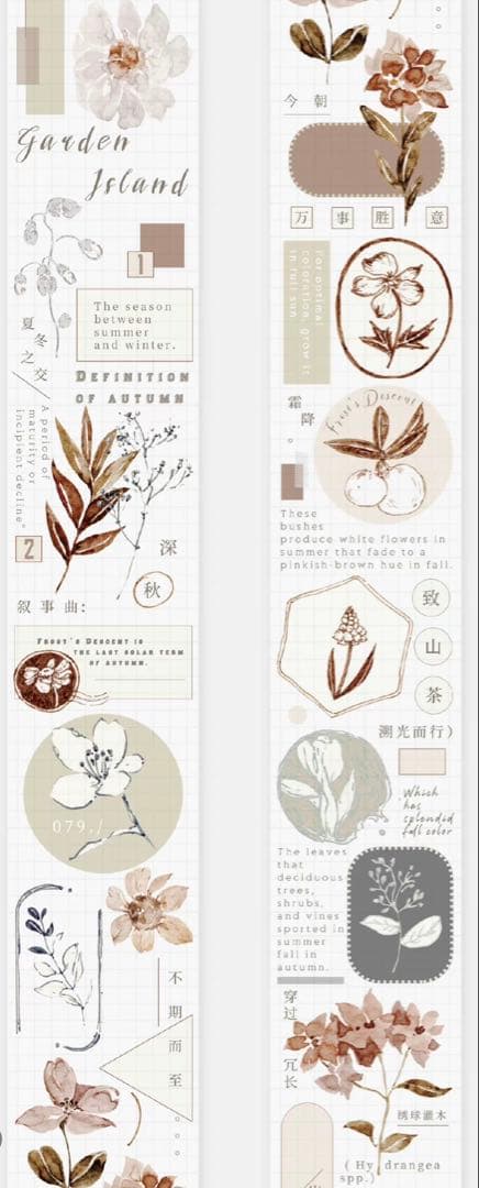 《最終値下げ》海外 マスキングテープ　雀斑茶 6点⚠️pet（33.324