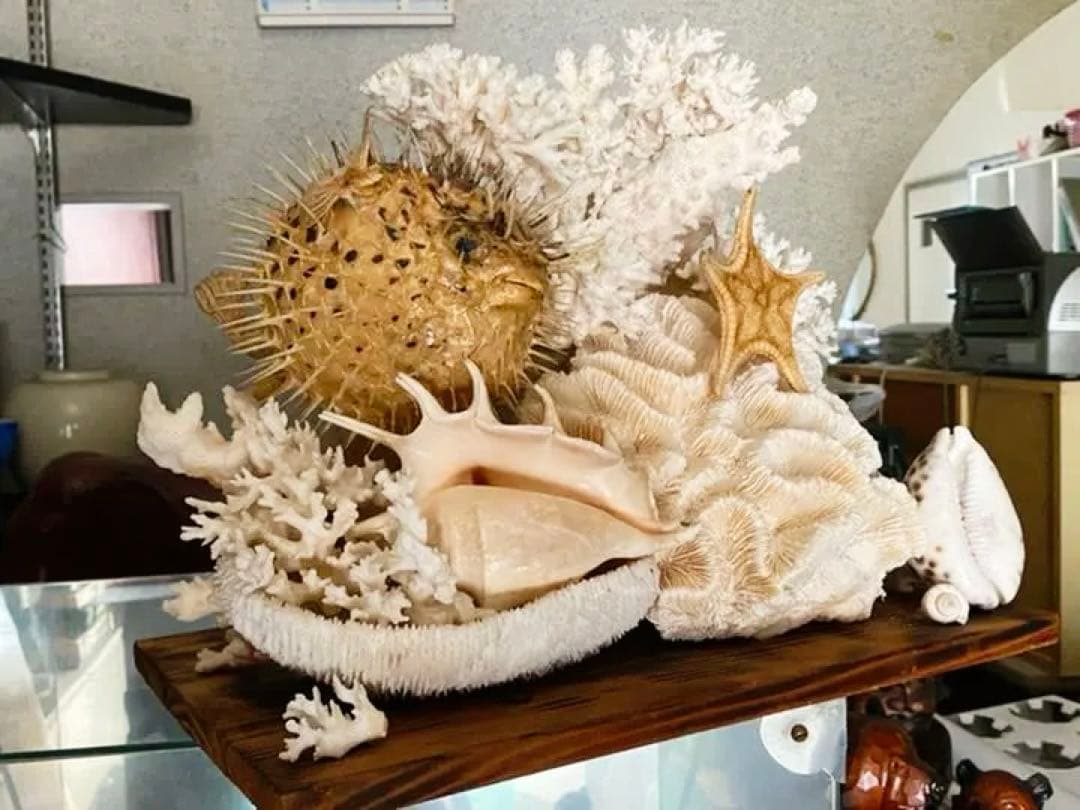 珊瑚　縁起物　昭和時代物　宝箱付き　アンティーク