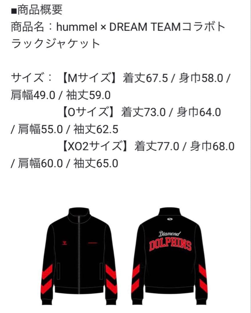 【非売品】名古屋ダイヤモンドドルフィンズ◆FC特典◆トラックジャケット