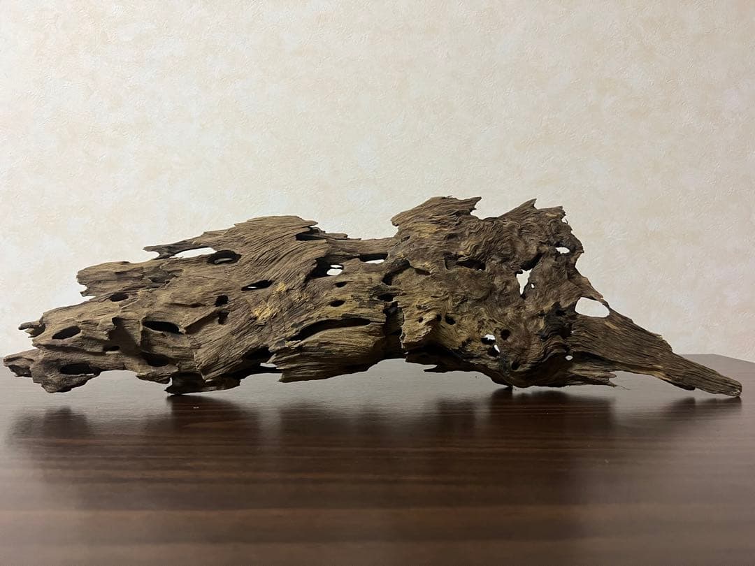 XM-456 流木　マシンガンウッド　アクアリウム　ブランチウッド　沈水確認済
