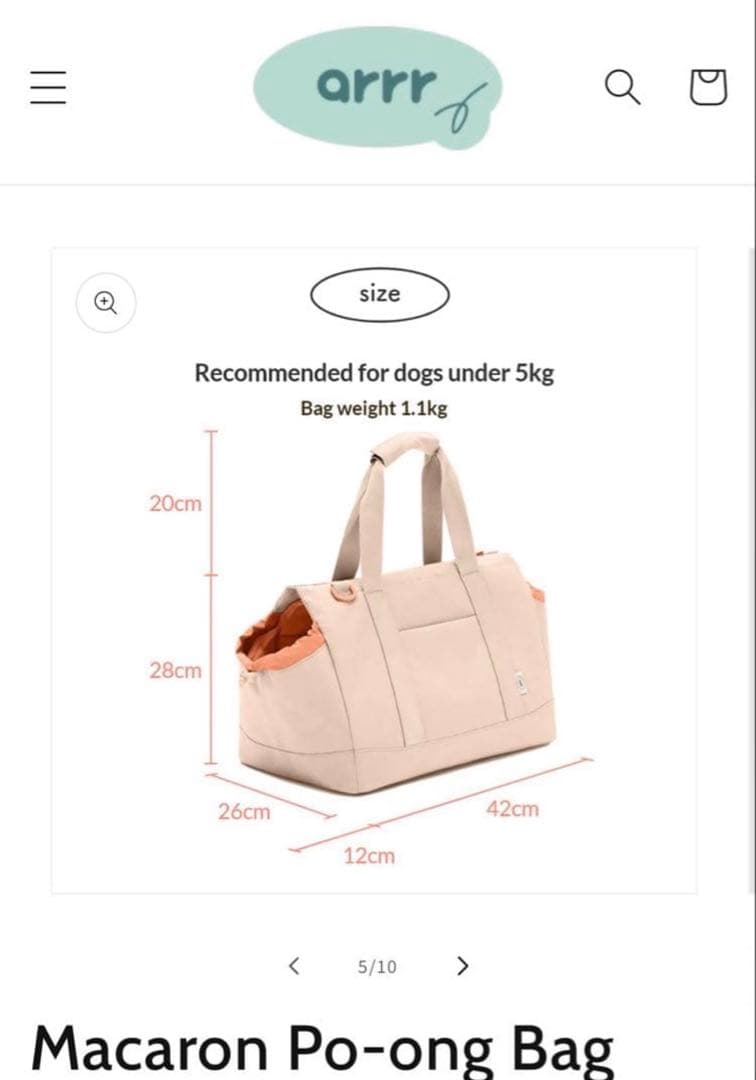 美品　arr ハグキャリーバッグ