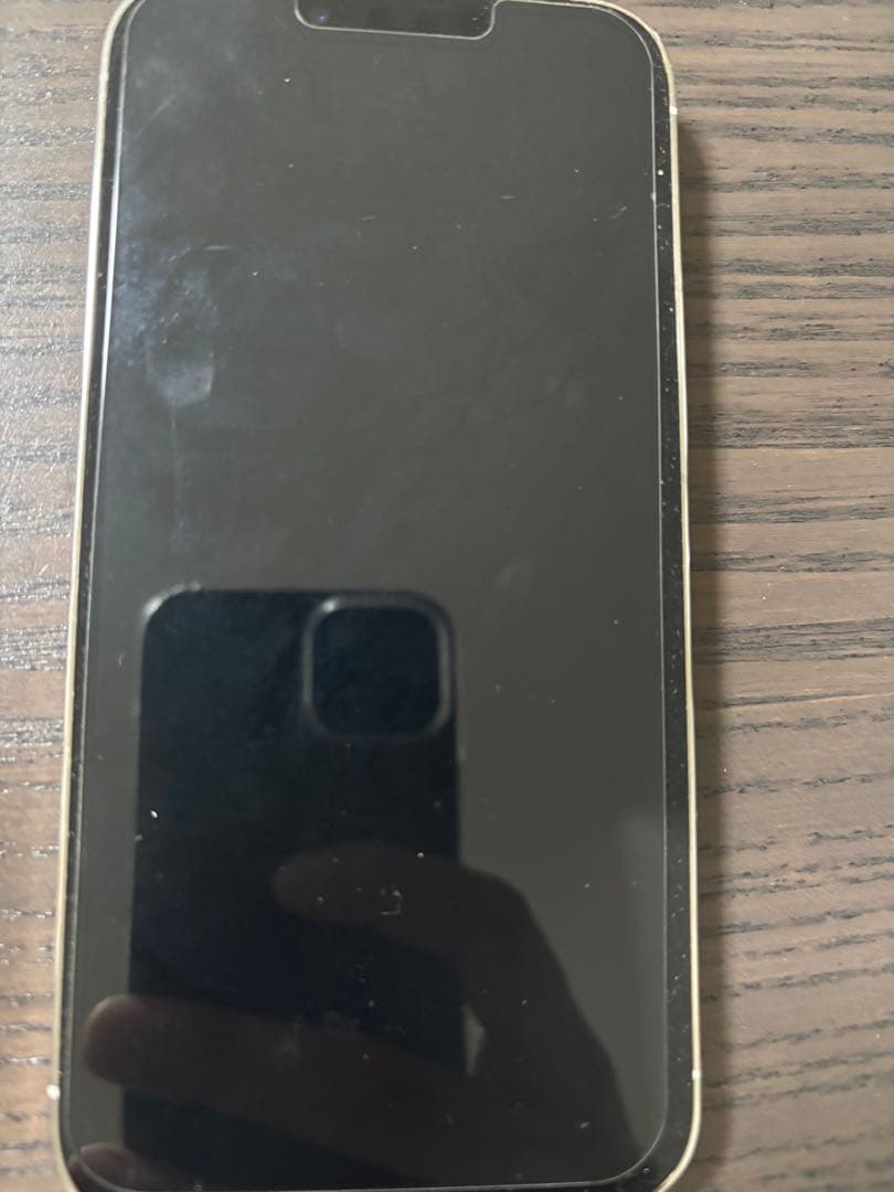 Apple iPhone 13 Pro シルバー 本体　512GB