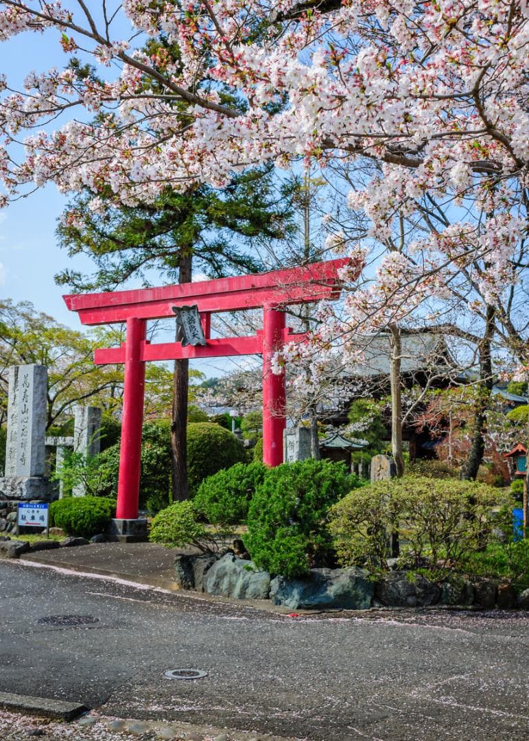 美品 Nikon AF Nikkor 35mm f/2D レンズ – 日本製