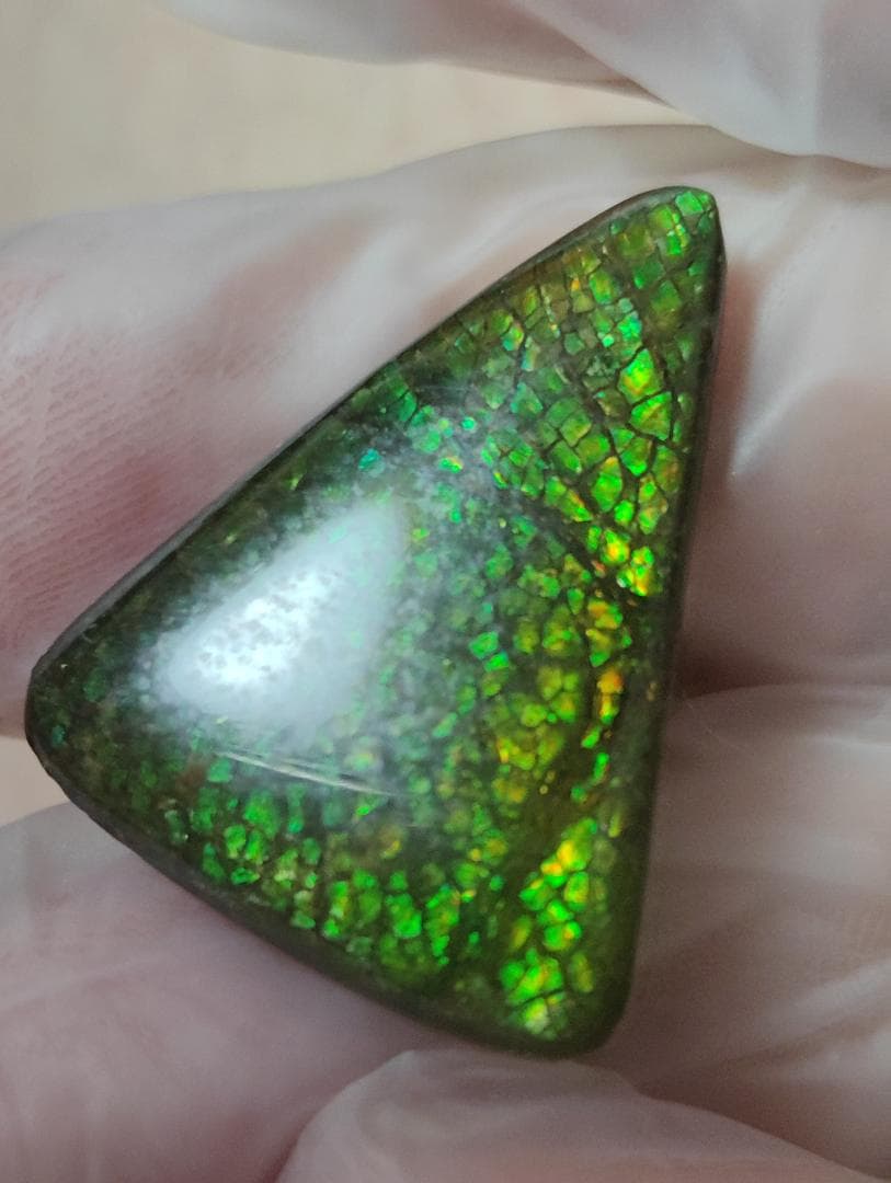 アンモライト　ルース　24-0750 15000