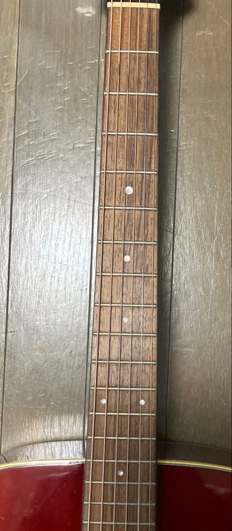 Takamine D21-WR DragonSeries アコースティックギター