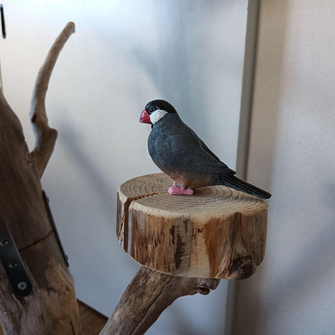 バードアスレチックジム 大型 ⑪ 天然木 自然木 流木 インコ おもちゃ