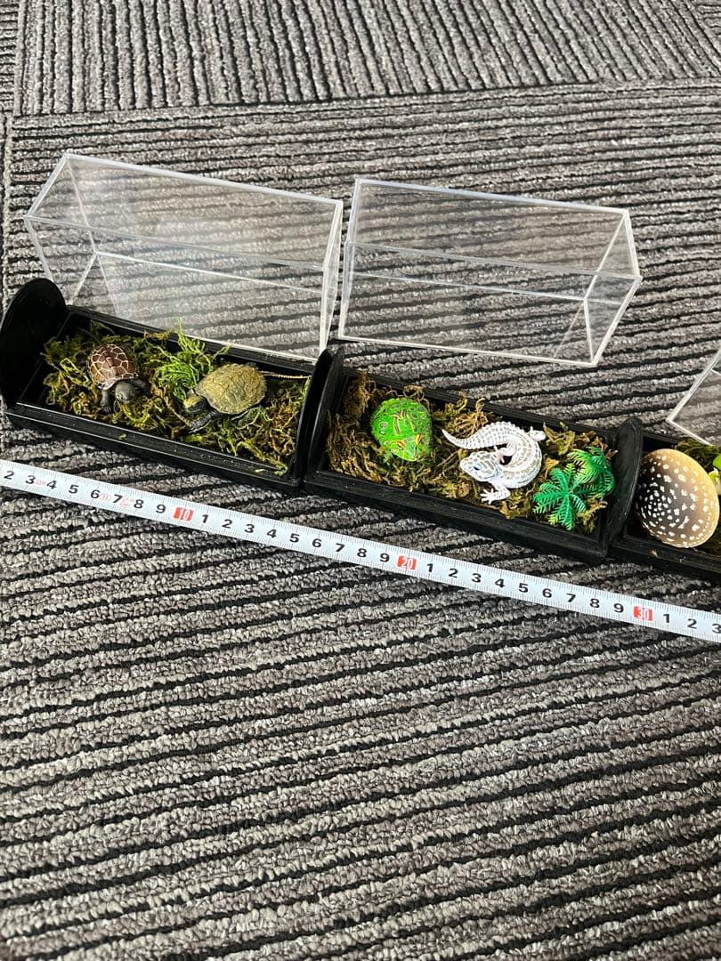 爬虫類　両生類　コレクション